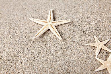 星空游戏数字高级版和原版有什么区别？Starfield预购奖励介绍